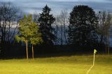 foot_20070509_044